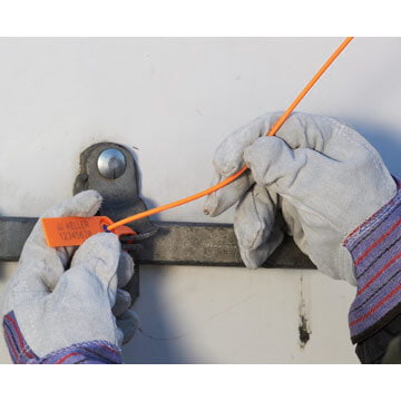 White - Stock Main Image