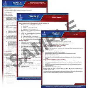 Delaware & Federal Electronic Labor Law Poster Management Service - 1-Year, English Main Image