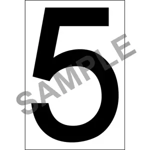 Individual 4" Vinyl Numbers - Clear, "5" (Five) Main Image