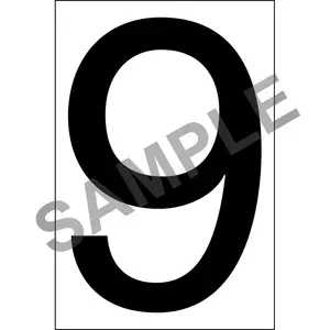 Individual 4" Vinyl Numbers - Clear, "9" (Nine) Main Image