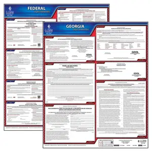 Georgia & Federal Labor Law Posters - State & Federal Poster Set, Spanish Main Image