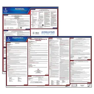 Puerto Rico & Federal Labor Law Posters - State & Federal Poster Set, English Main Image