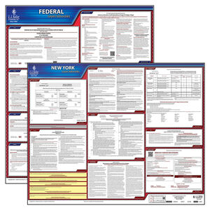 2025 New York & Federal Labor Law Posters - State & Federal Poster Set, Spanish Main Image