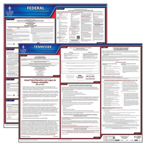 Tennessee & Federal Labor Law Posters - State & Federal Poster Set, Spanish Main Image