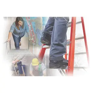 Ladder Safety for General Industry Streaming Video Training Program - English Main Image