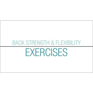 Back Safety: Back Strength And Flexibility Exercises Streaming Video - English Main Image