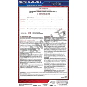 Walsh-Healey, McNamara-O'Hara Federal Contract Poster - English Main Image