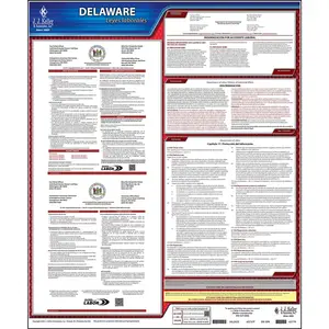 Delaware & Federal Labor Law Posters - State Only Poster, Spanish Main Image