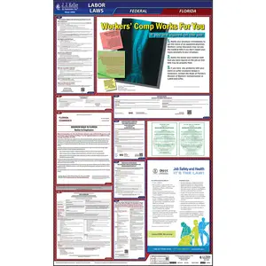 Florida & Federal Labor Law Posters - All-In-One State & Federal Poster, English Main Image
