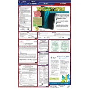 Florida & Federal Labor Law Posters - All-In-One State & Federal Poster, Spanish Main Image