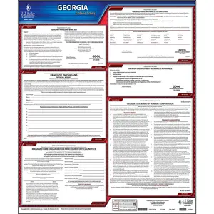 Georgia & Federal Labor Law Posters - State Only Poster, English Main Image