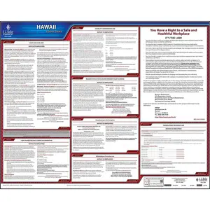 Hawaii & Federal Labor Law Posters - State Only Poster, English Main Image