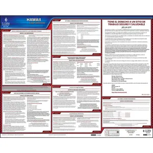 Hawaii & Federal Labor Law Posters - State Only Poster, Spanish Main Image