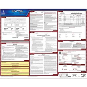 2025 New York & Federal Labor Law Posters - State Only Poster, English Main Image