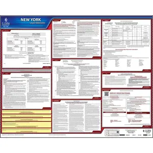 New York & Federal Labor Law Posters - State Only Poster, Spanish Main Image