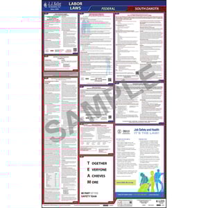 South Dakota & Federal Labor Law Posters - All-In-One State & Federal Poster, English Main Image