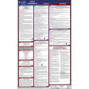 Wyoming & Federal Labor Law Posters - All-In-One State & Federal Poster, Spanish Main Image