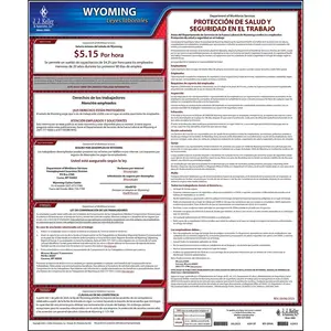 Wyoming & Federal Labor Law Posters - State Only Poster, Spanish Main Image