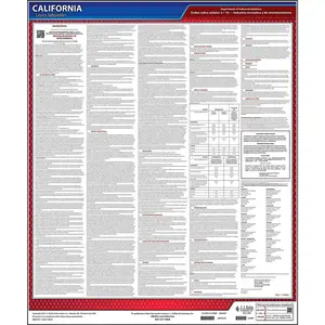 California IWC Wage Orders - #10 Amusement & Recreation Industry, Spanish Main Image