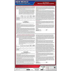 New Mexico / Albuquerque Minimum Wage Poster - Polypropylene Main Image