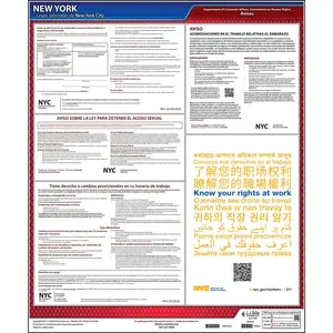 New York City Employment Laws Poster - Polypropylene, Spanish Main Image