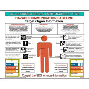 HMIS® III Target Organ Poster