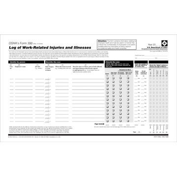 Form 300 Log of Work-Related Injuries and Illnesses