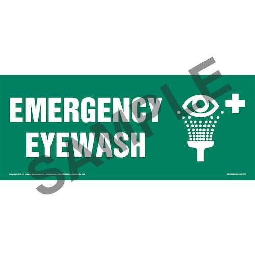 Emergency Eyewash Sign with Icon (013313)