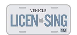 Vehicle Licensing
