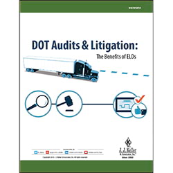 Free DOT Audits & Litigation Whitepaper